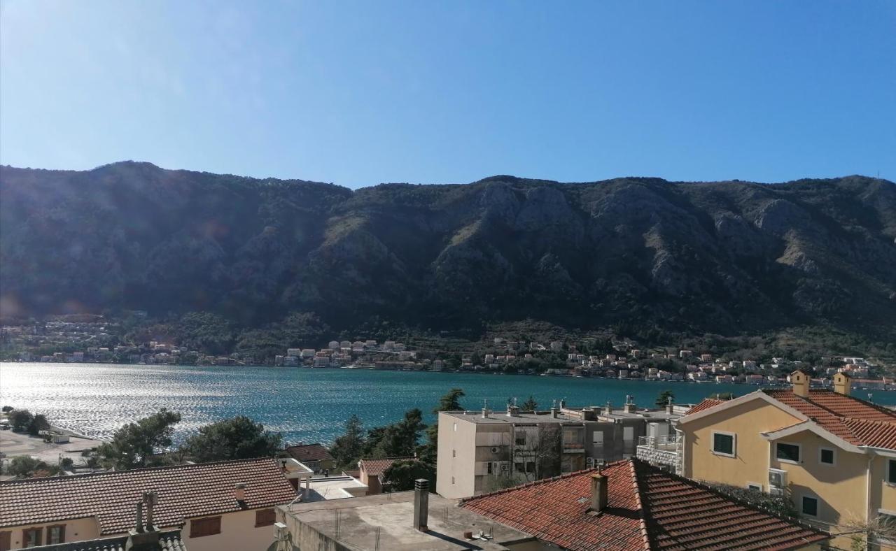 Albatros Appartement Kotor Buitenkant foto